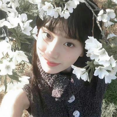 末栈之重生