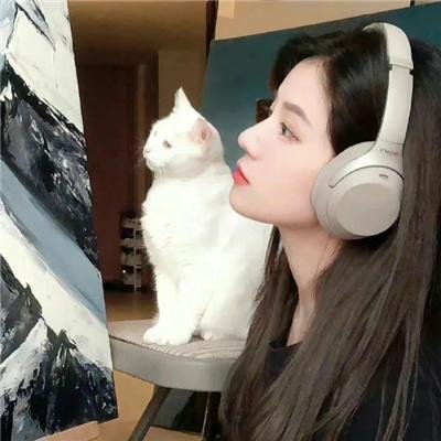 变钢锁